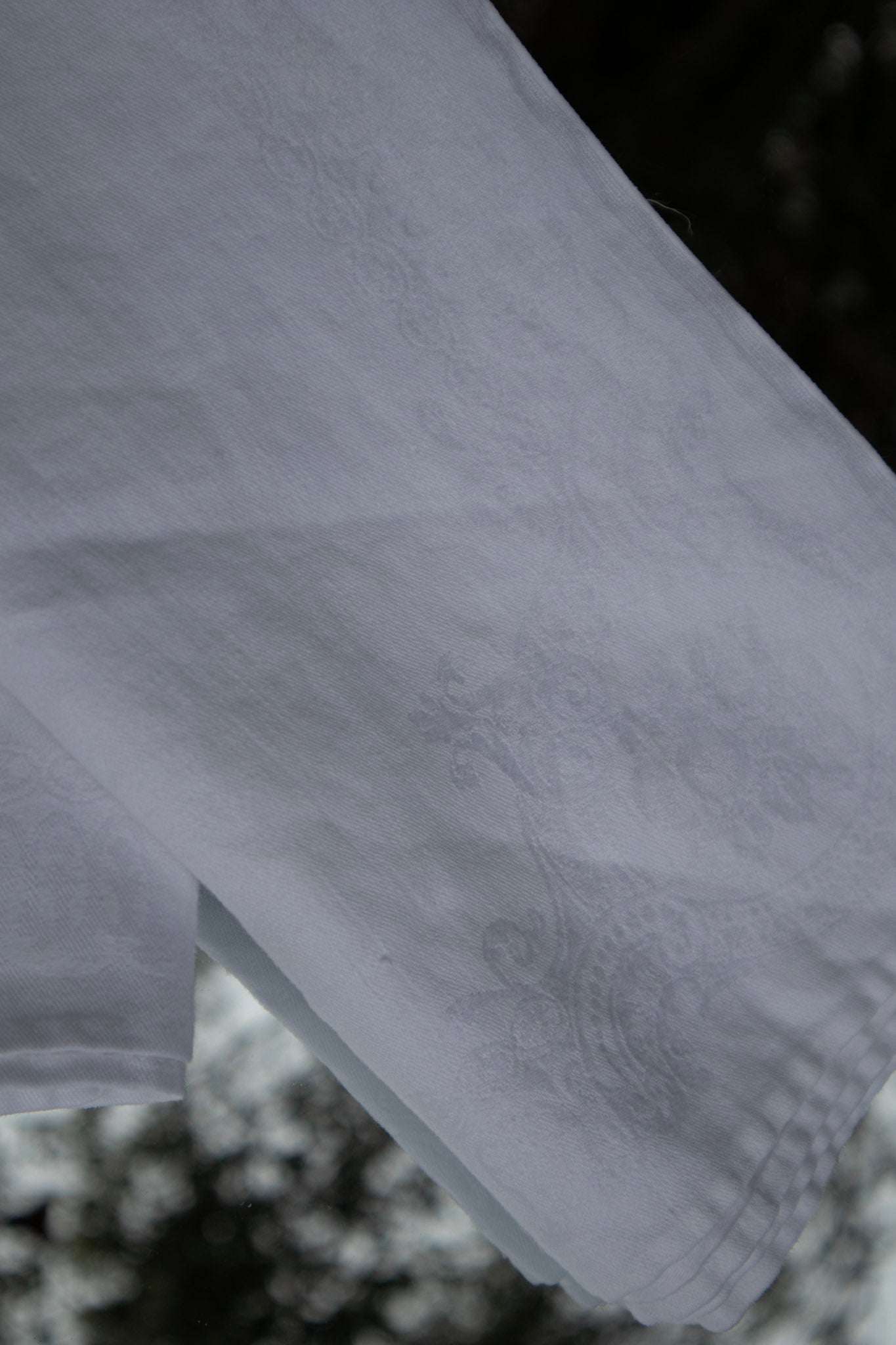 Floral Patterned Linen Napkins (Set of 2)