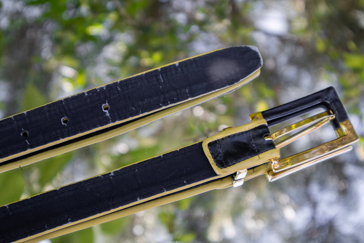Black and Yellow Belt