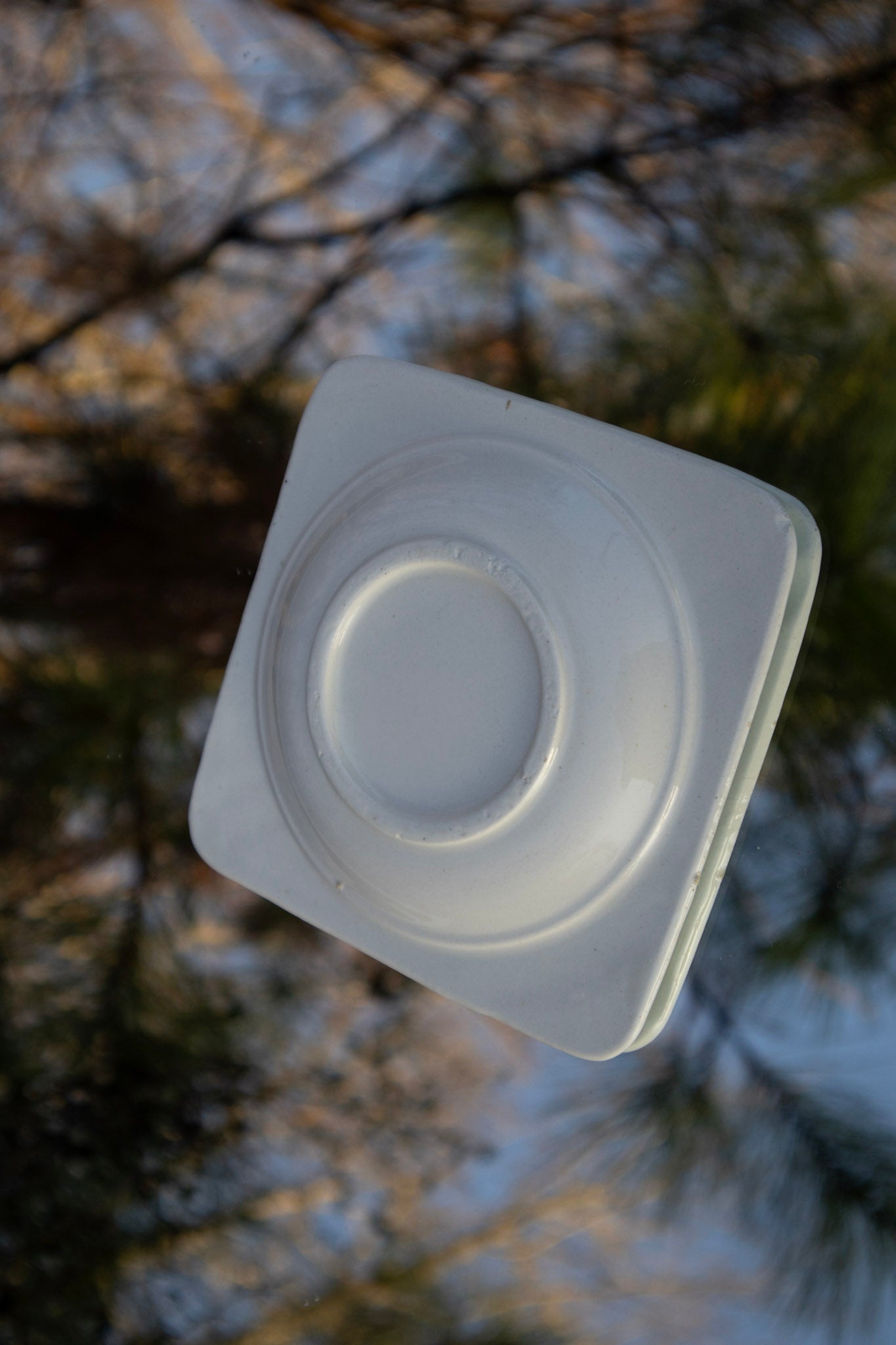 Family Crest Ashtray