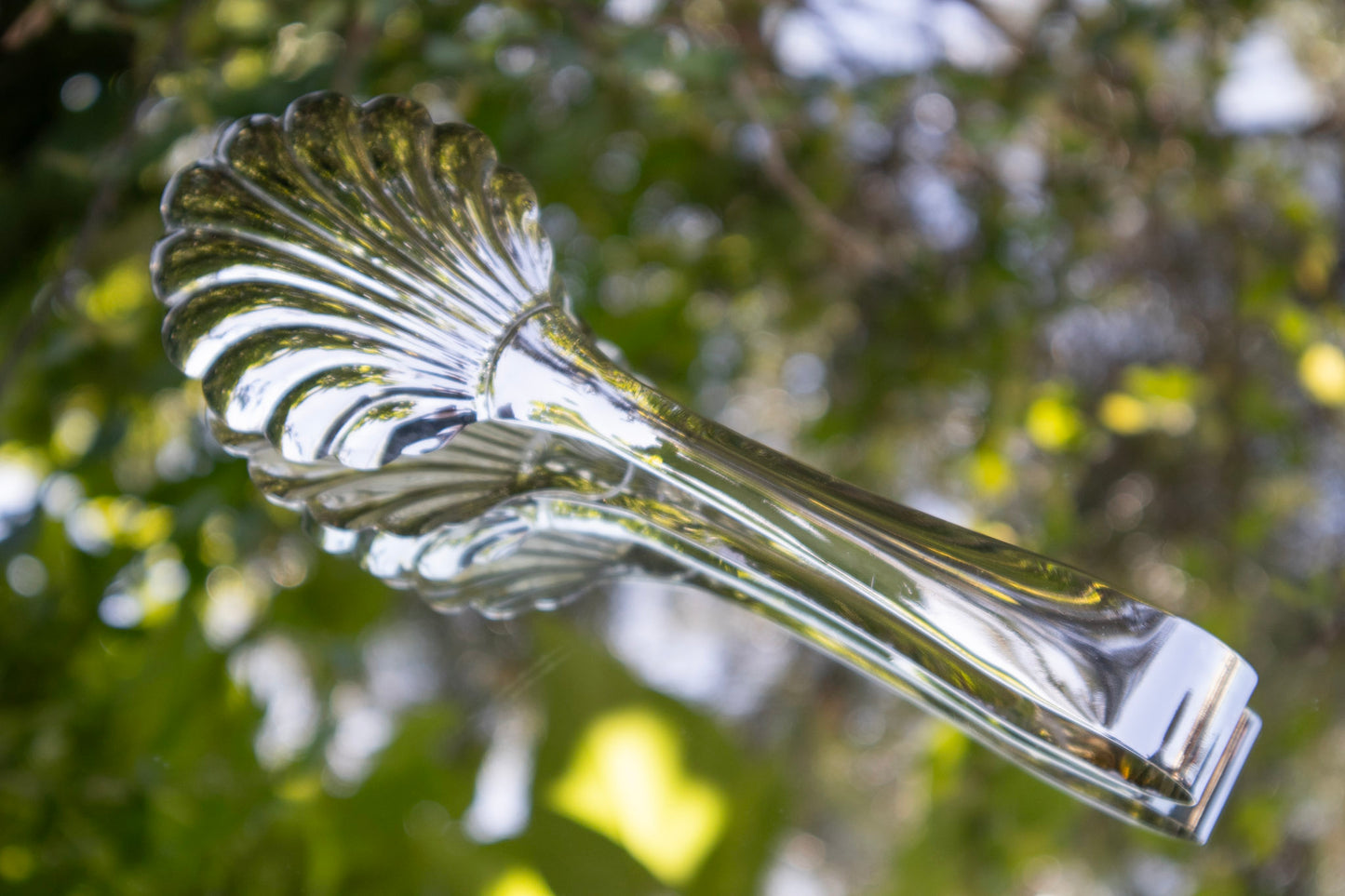 Silver Clam Shell Serving Tongs