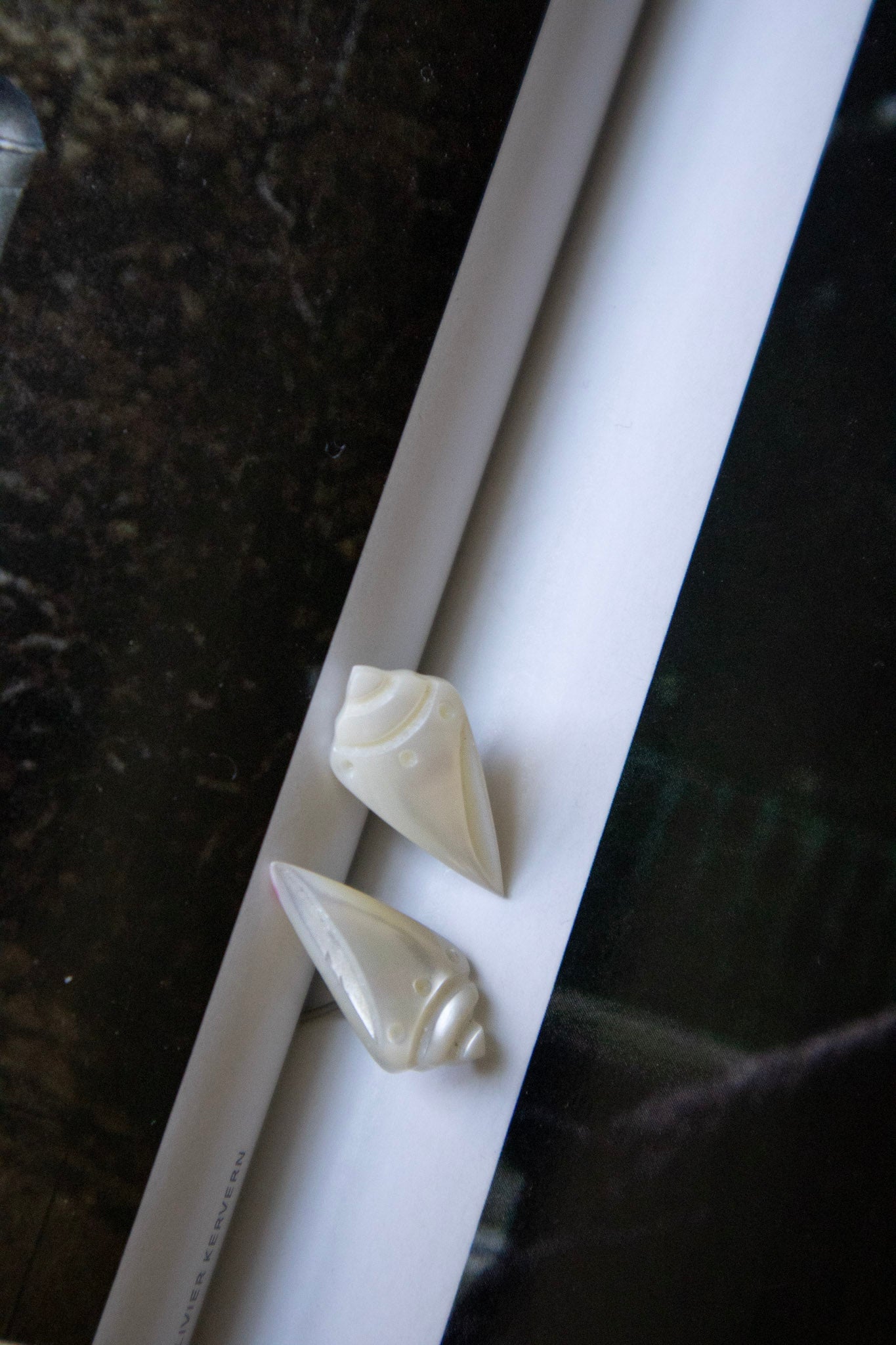 Pearlescent Conch Studs