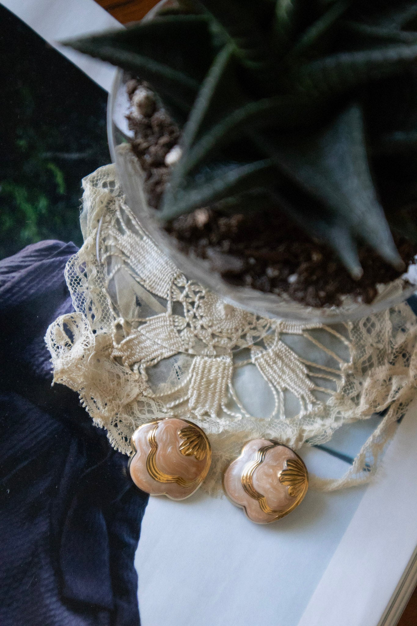 Scalloped Shell Earrings
