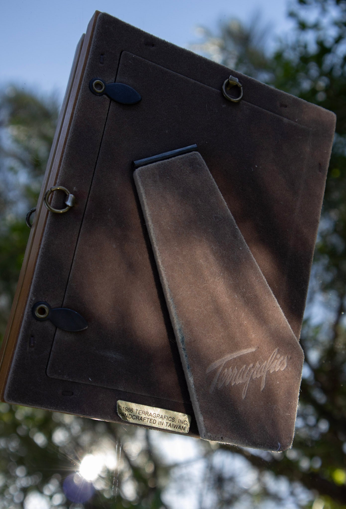 Pearlescent Shell Frame