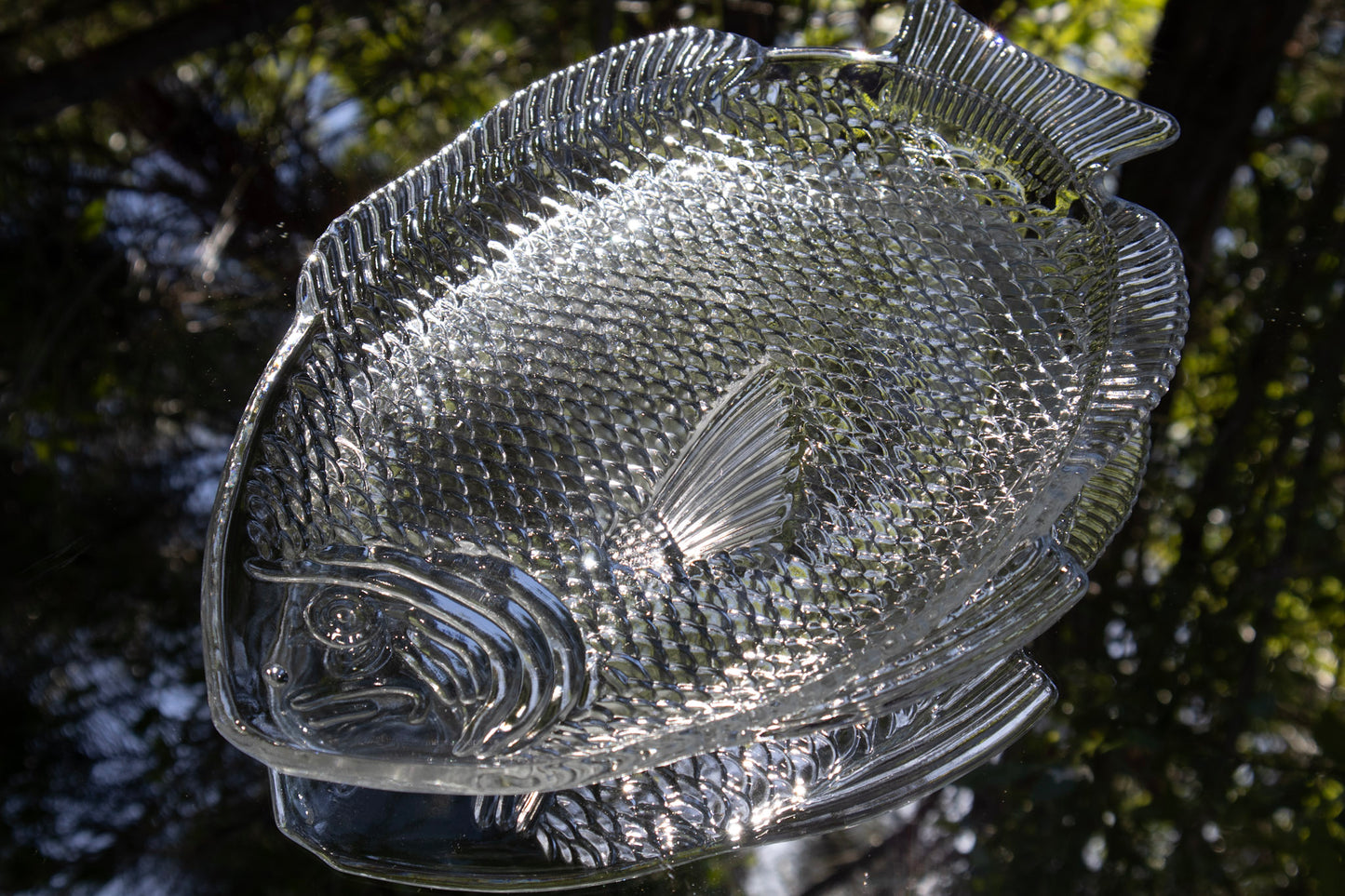 Glass Fish Tray