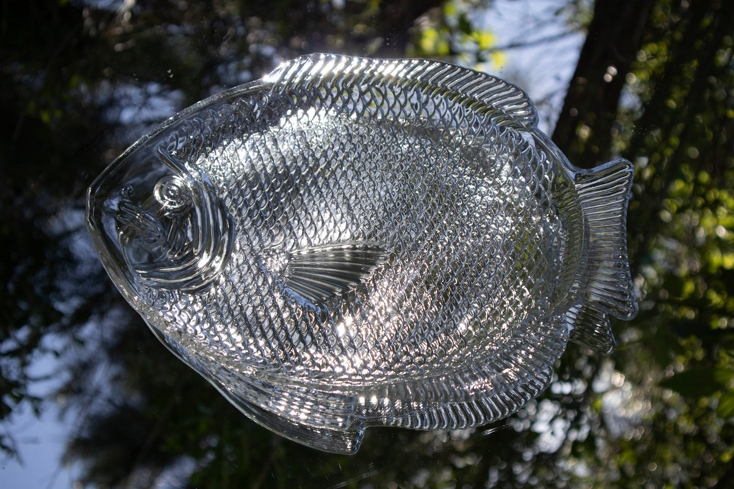 Glass Fish Tray