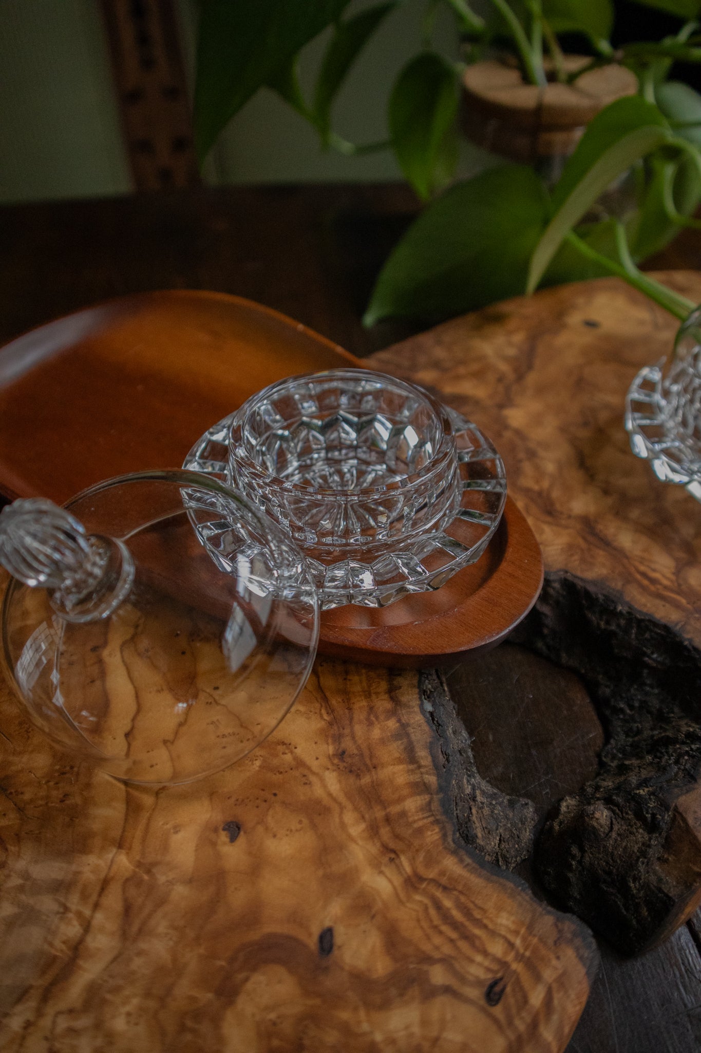 MCM Monkey Pod Snack Tray