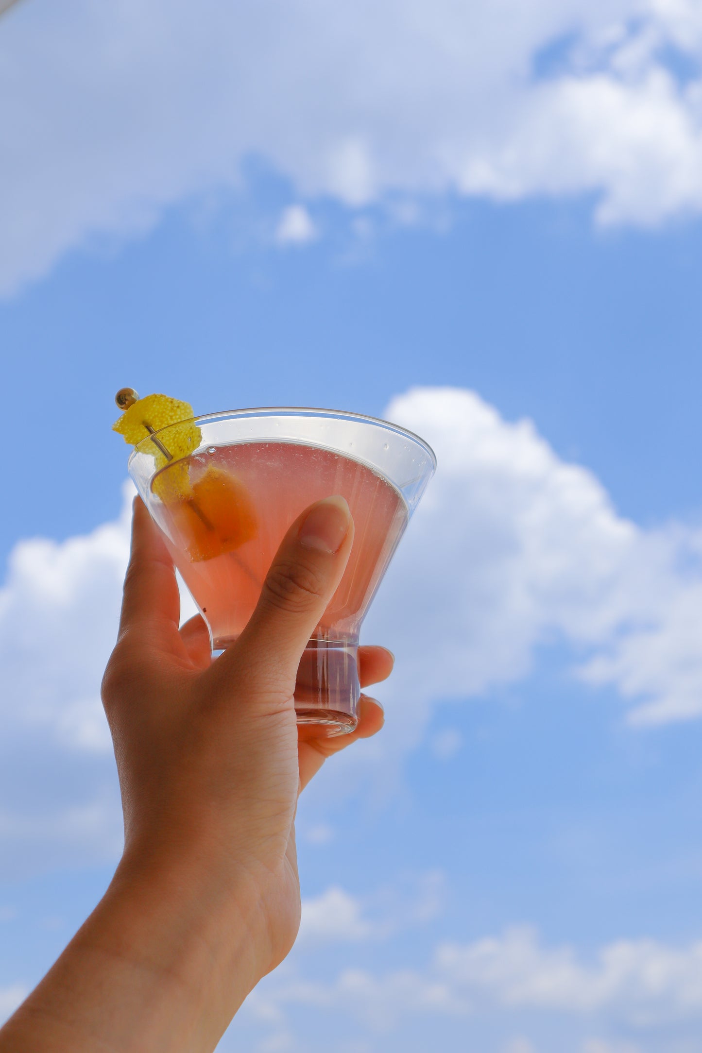 Stemless Martini Glasses