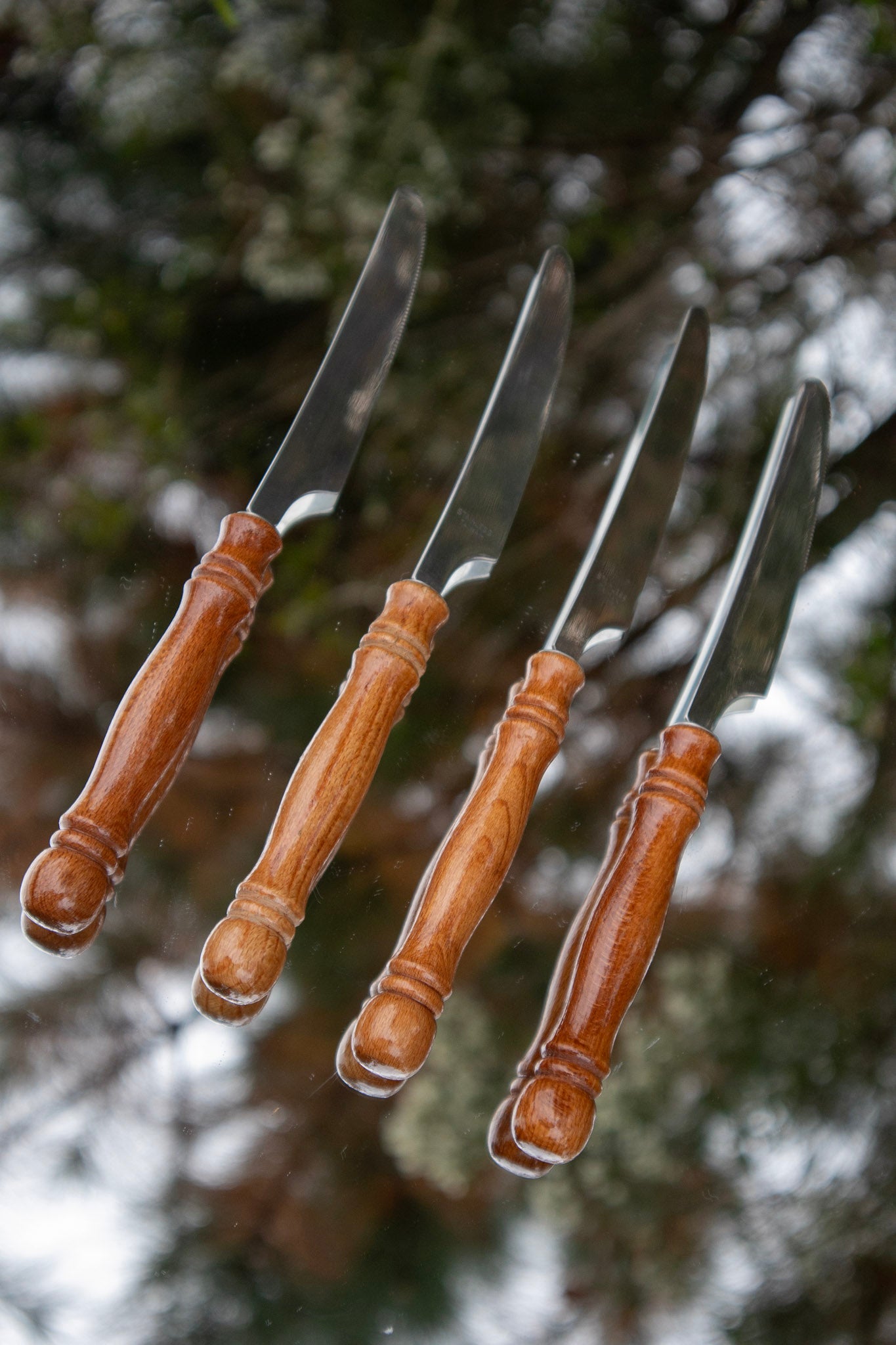 Table Knives Set with Wood Handles (Set of 4)