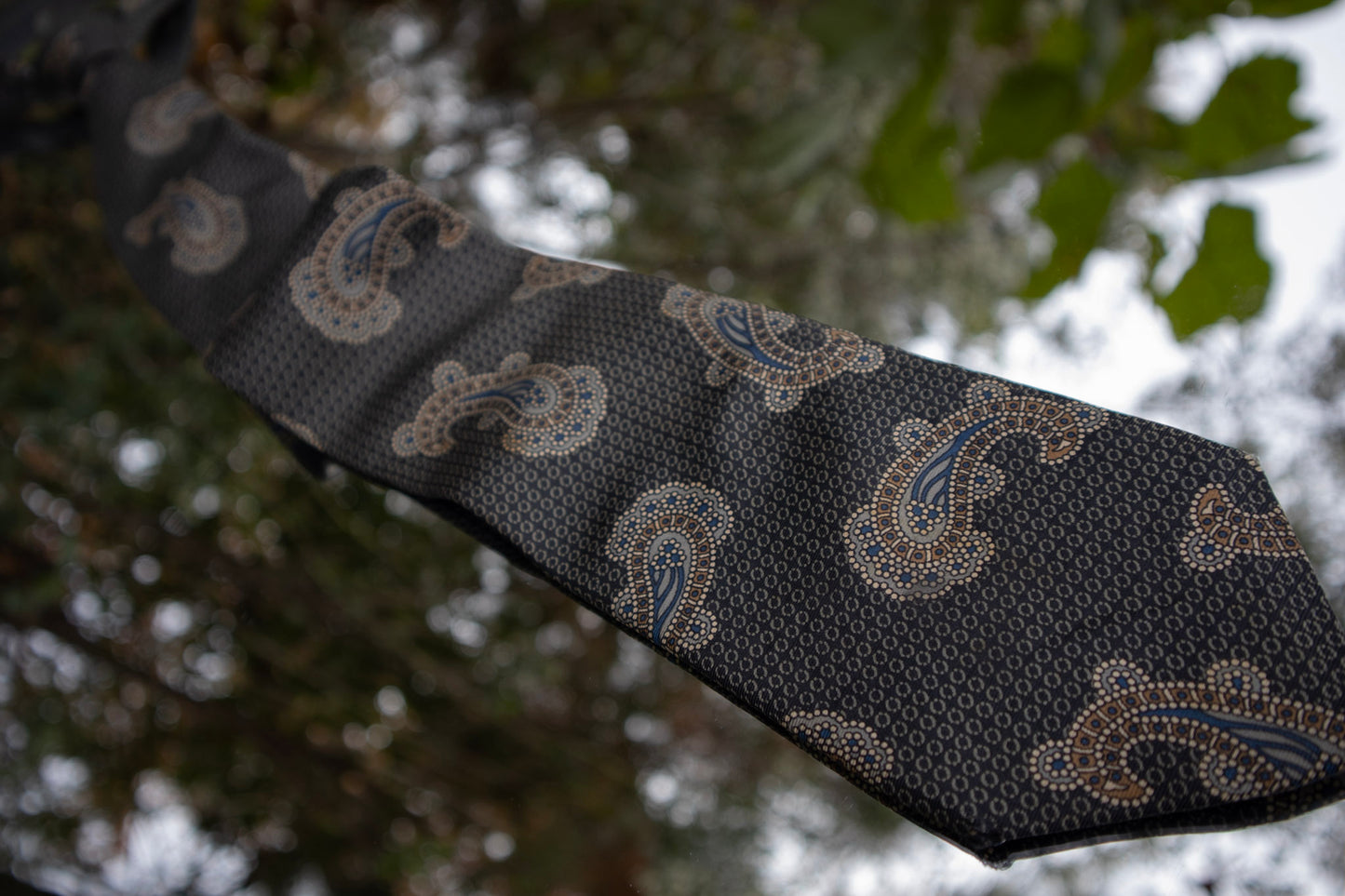 Paisley Silk Tie