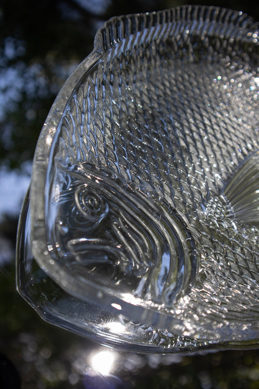 Glass Fish Tray