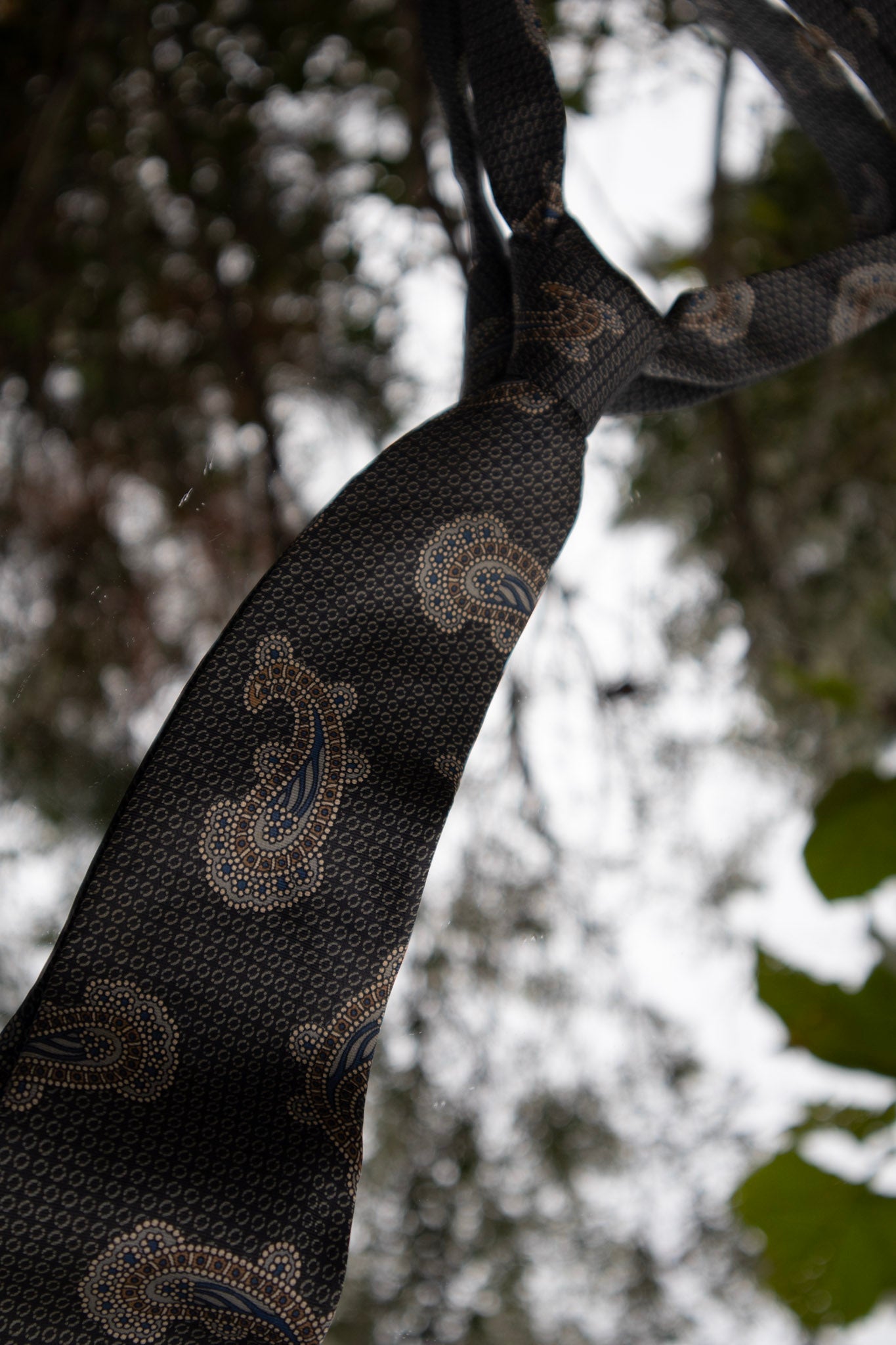 Paisley Silk Tie