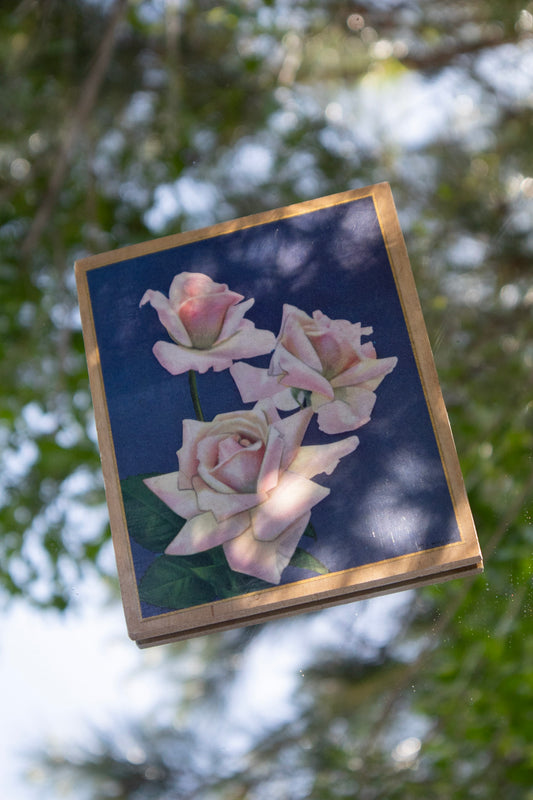 Rose Print Wall Art