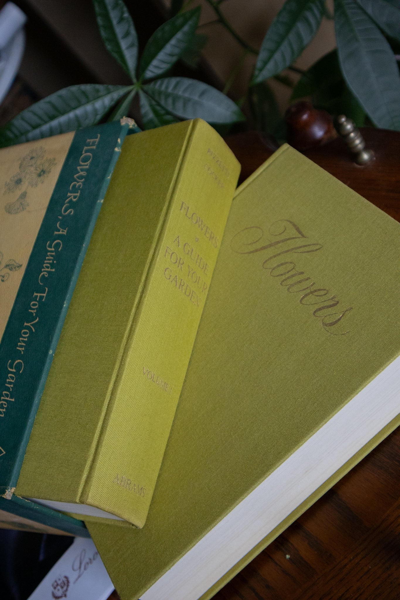 Flowers: A Guide for Your Garden