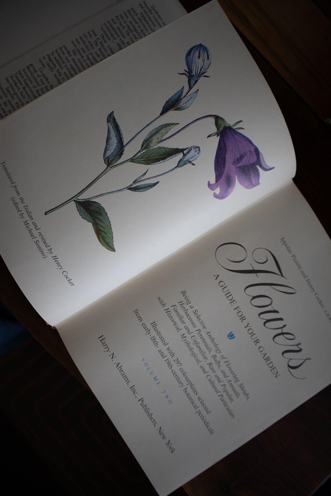 Flowers: A Guide for Your Garden