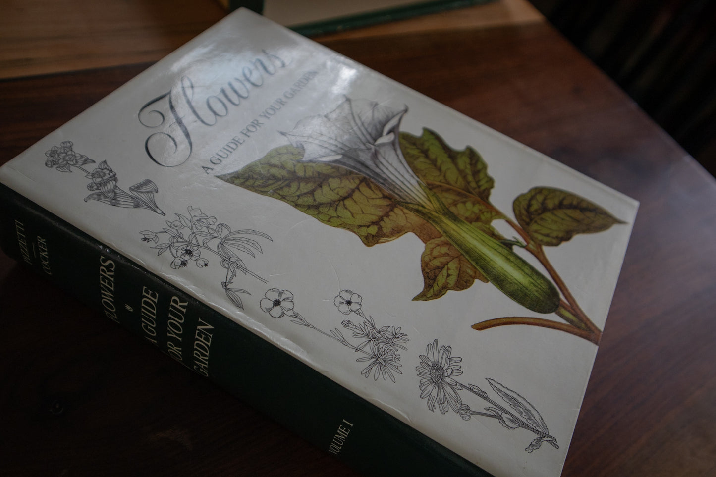 Flowers: A Guide for Your Garden