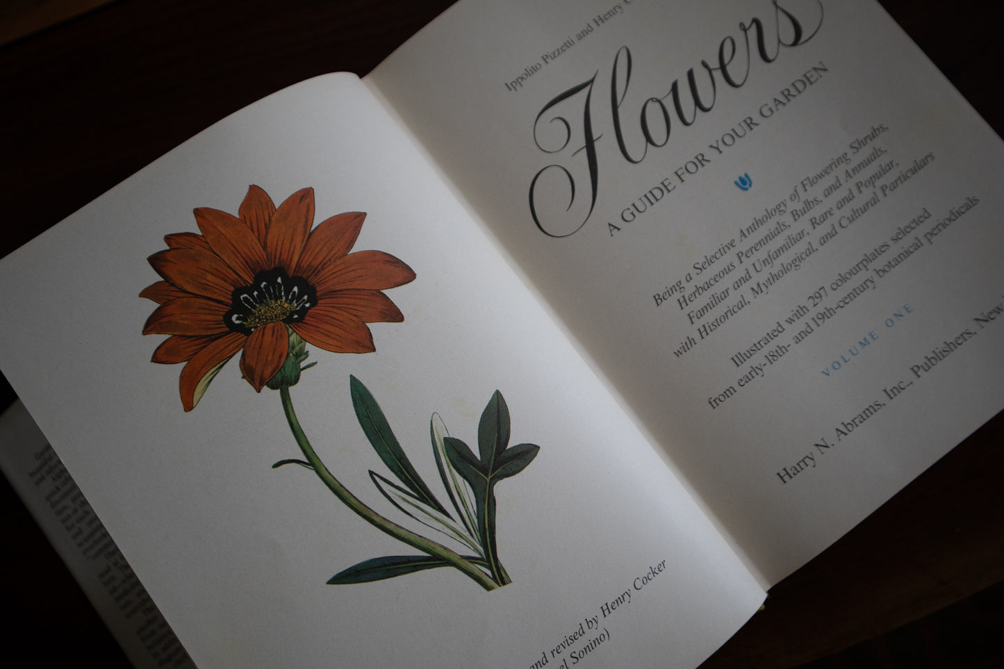 Flowers: A Guide for Your Garden
