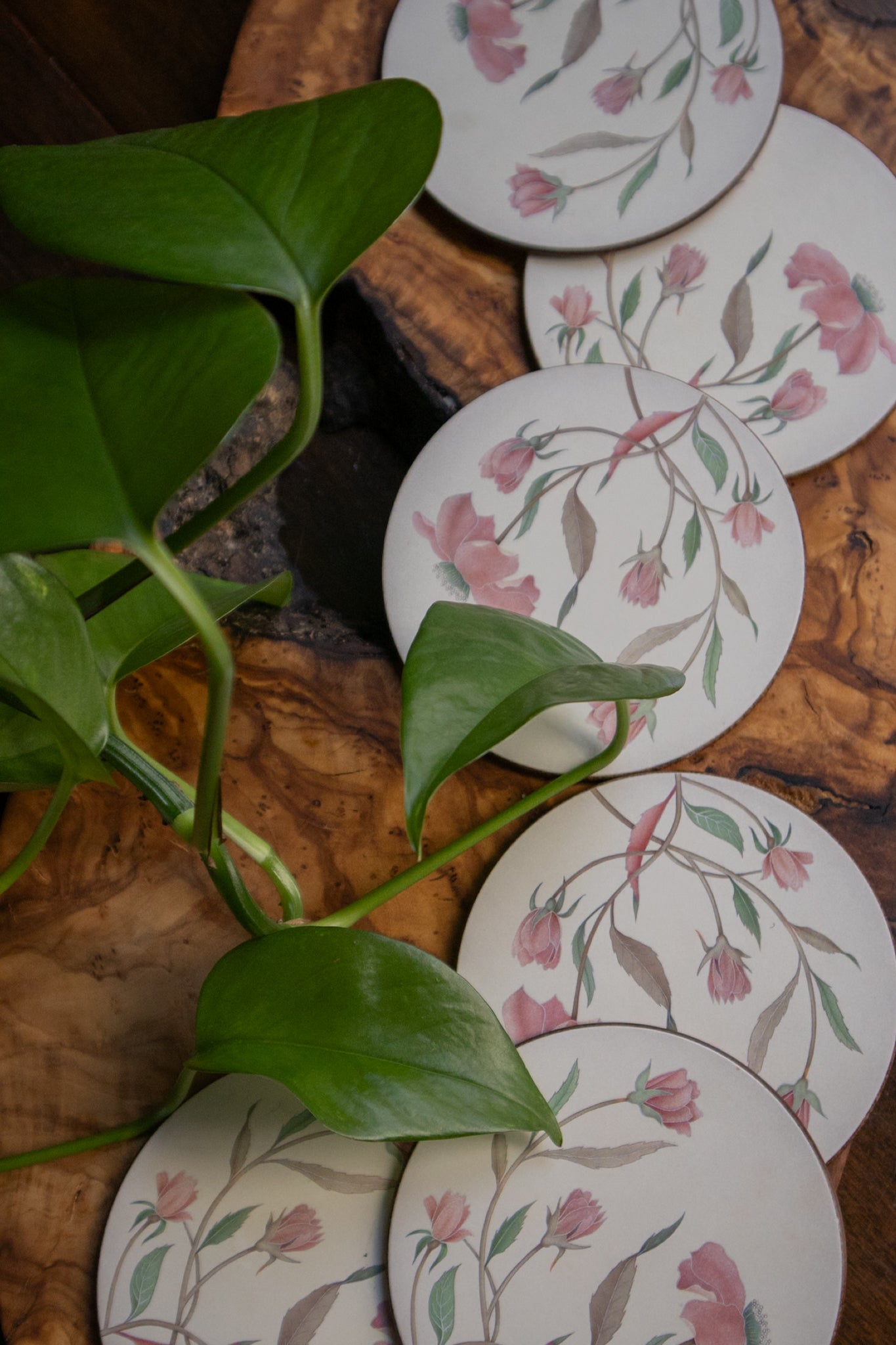 Wildflower Coasters (set of 6)