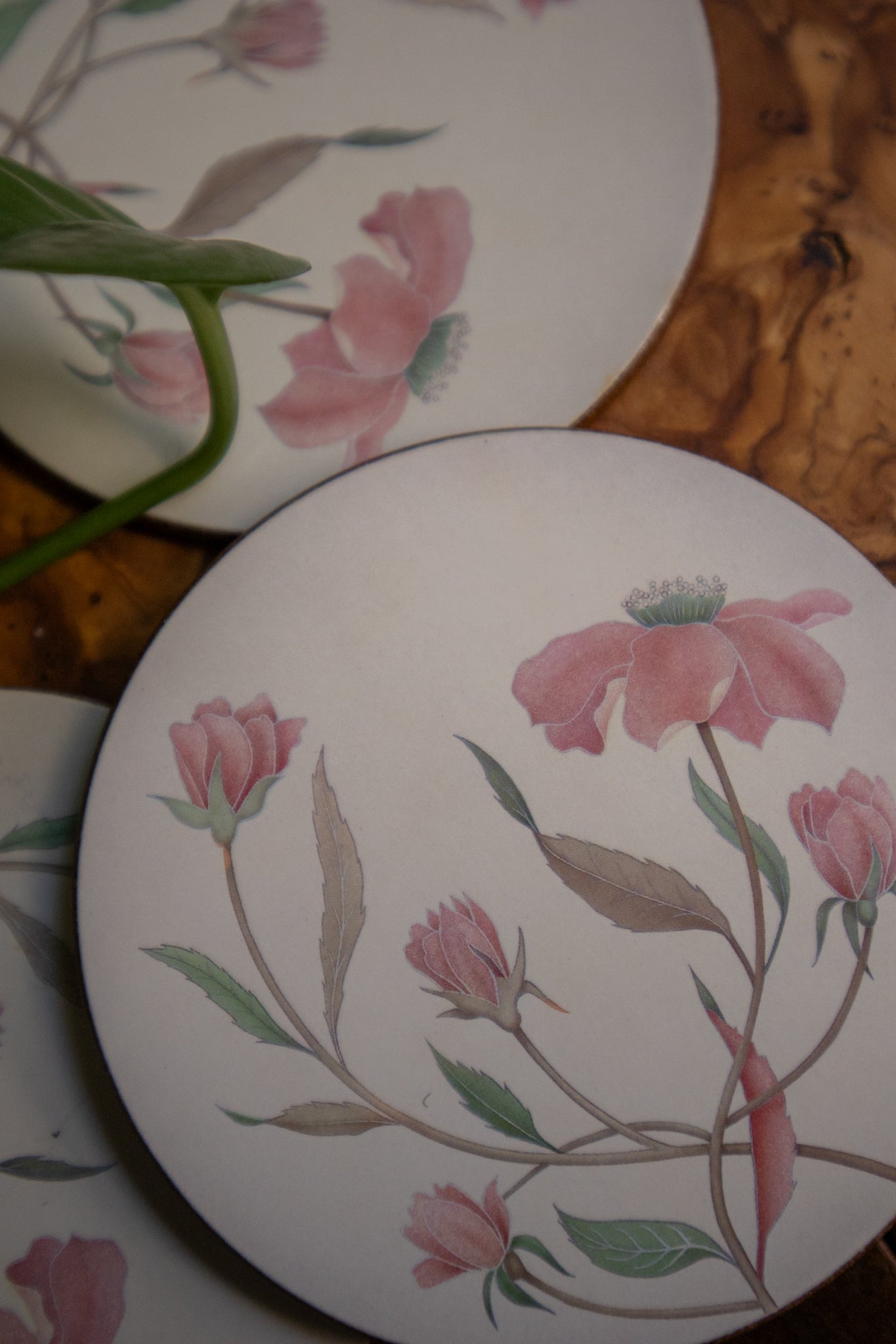 Wildflower Coasters (set of 6)