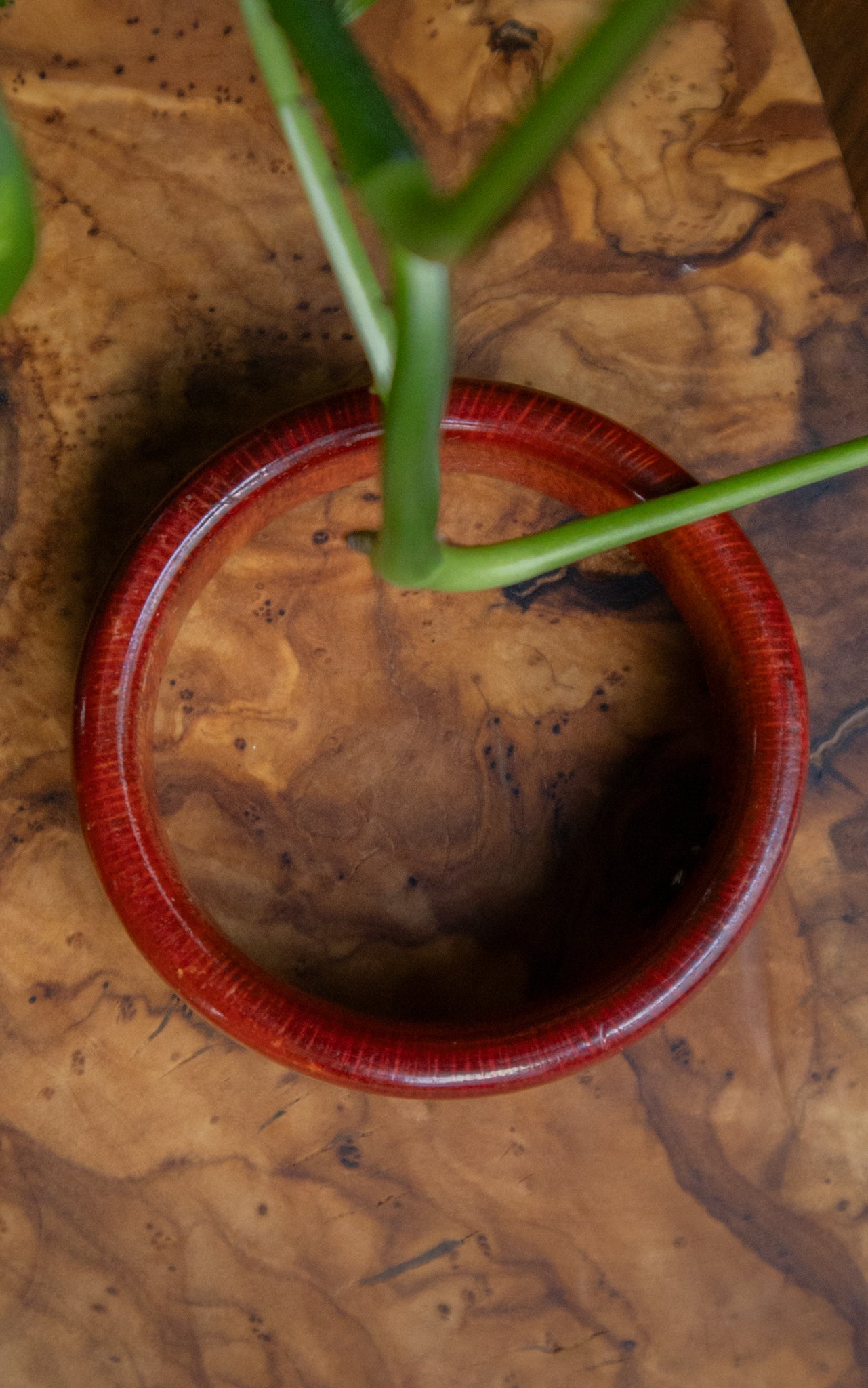 Repaired Red Wooden Bracelet