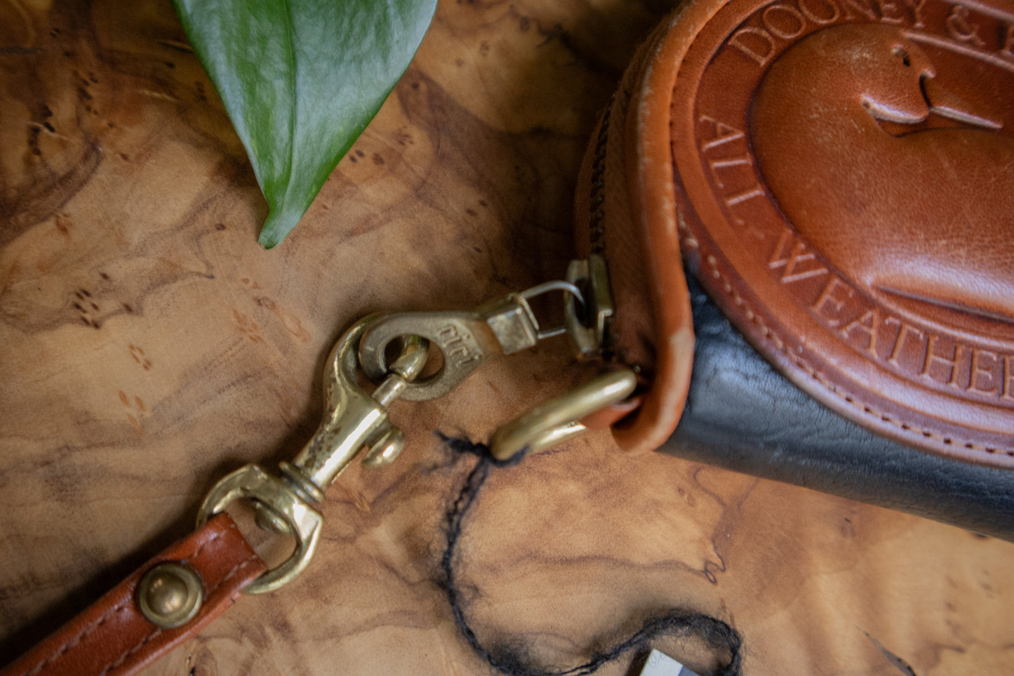 Dooney & Bourke Coin Purse